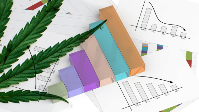 Best Cannabis REITs For Watchlist In June