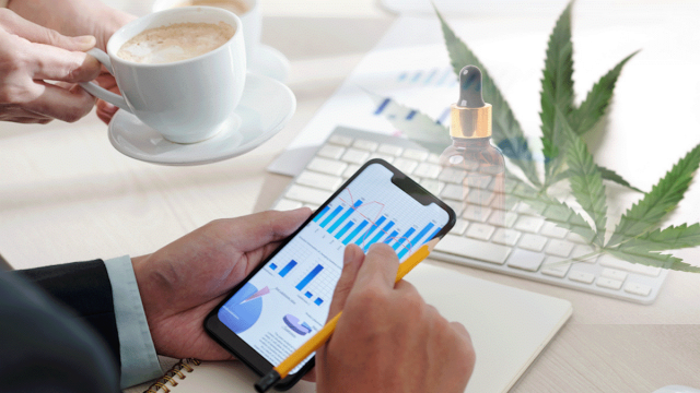 Best Cannabis Stocks to Invest in Today: A Closer Look at Top Performers