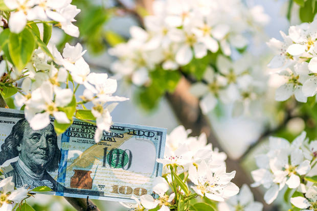 Best Growth Stocks to Buy for October 10th