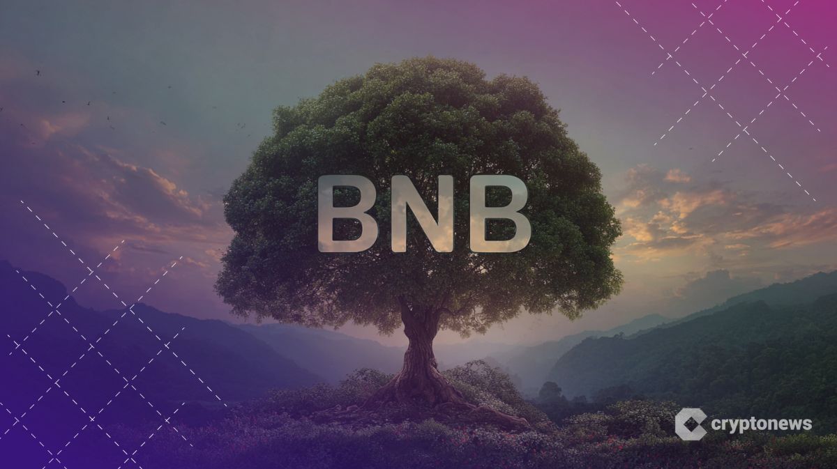Binance Just Burned $1.32 Billion Worth of BNB Crypto in a Single Day: Is a Break Above $650 Next?