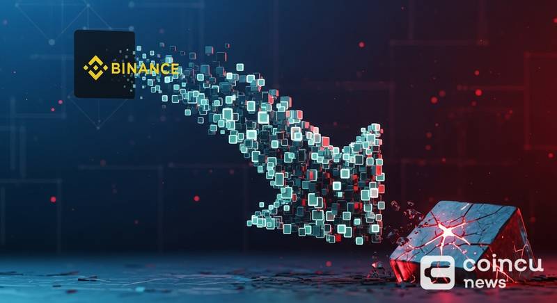 Binance Logs 32.5471M USDT Net Outflow in One Hour