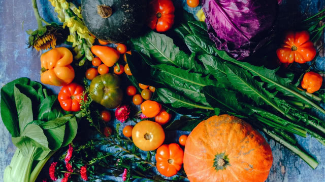 Foto von BioHarvest Sciences advances CDMO deal with major pharmaceutical company - ICYMI