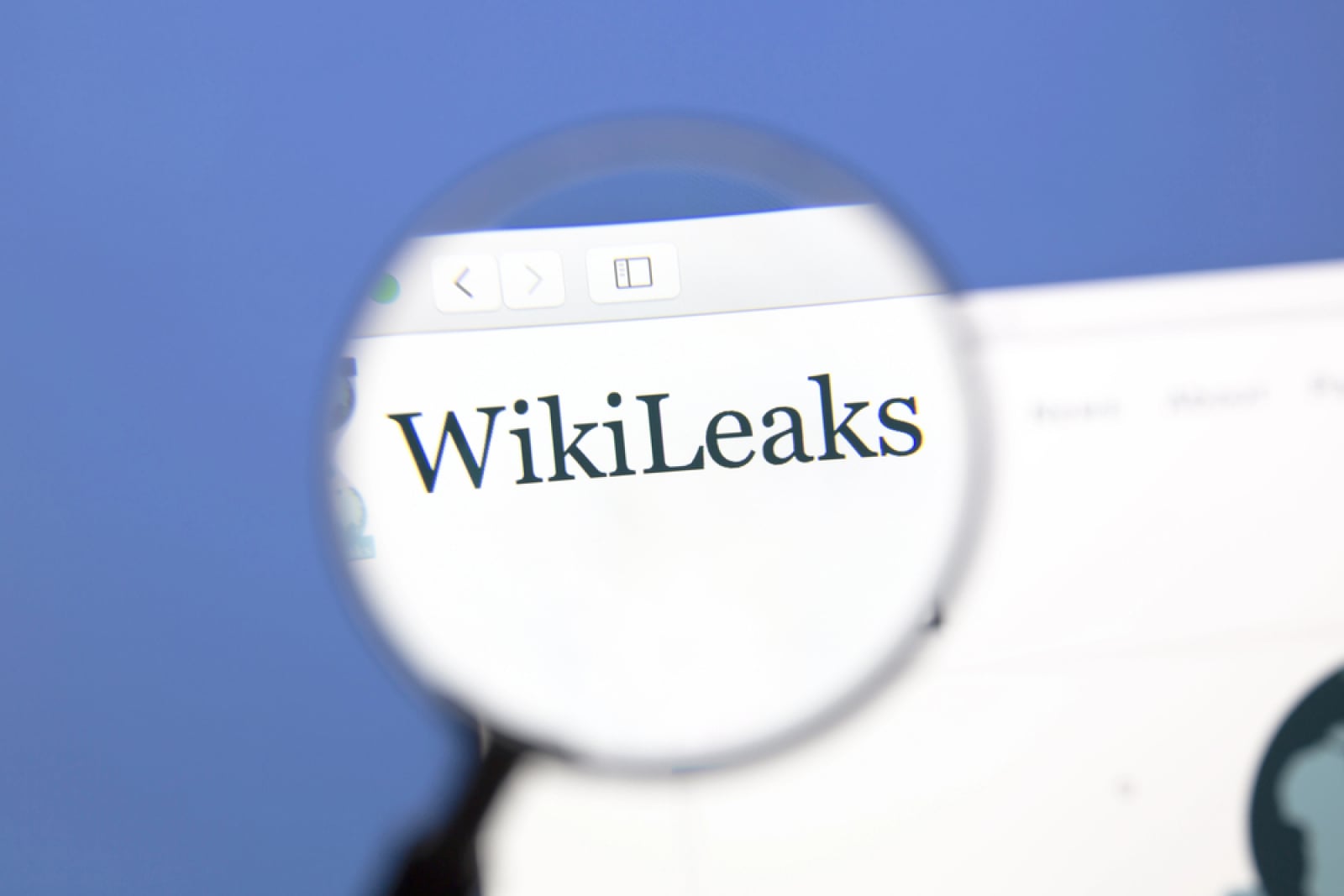 Bitcoin Adopted by Wikileaks 15 Years Ago: How It Happened