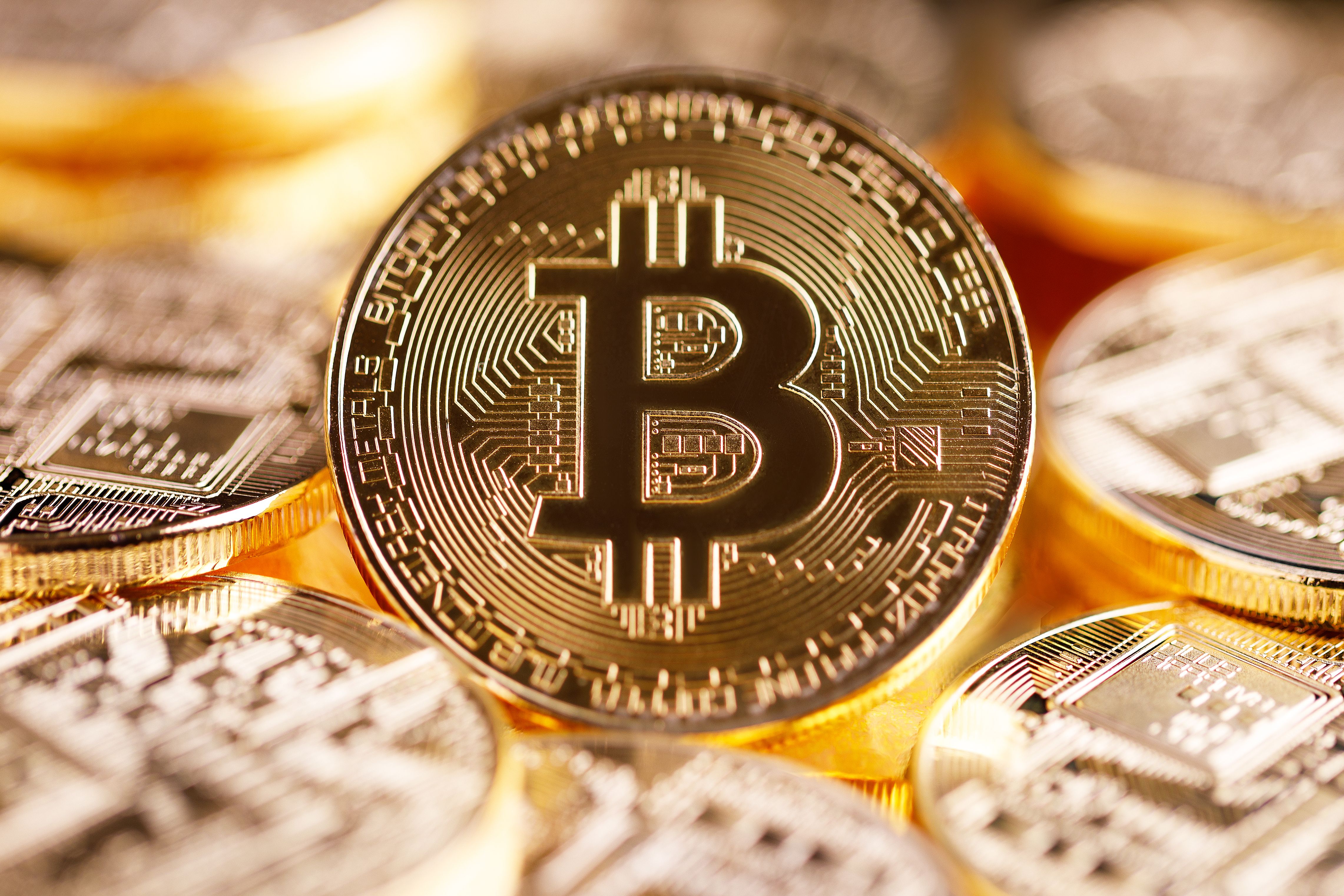 Bitcoin Adoption Hits New Record in 2026 Even as BTC Price Falls 50%