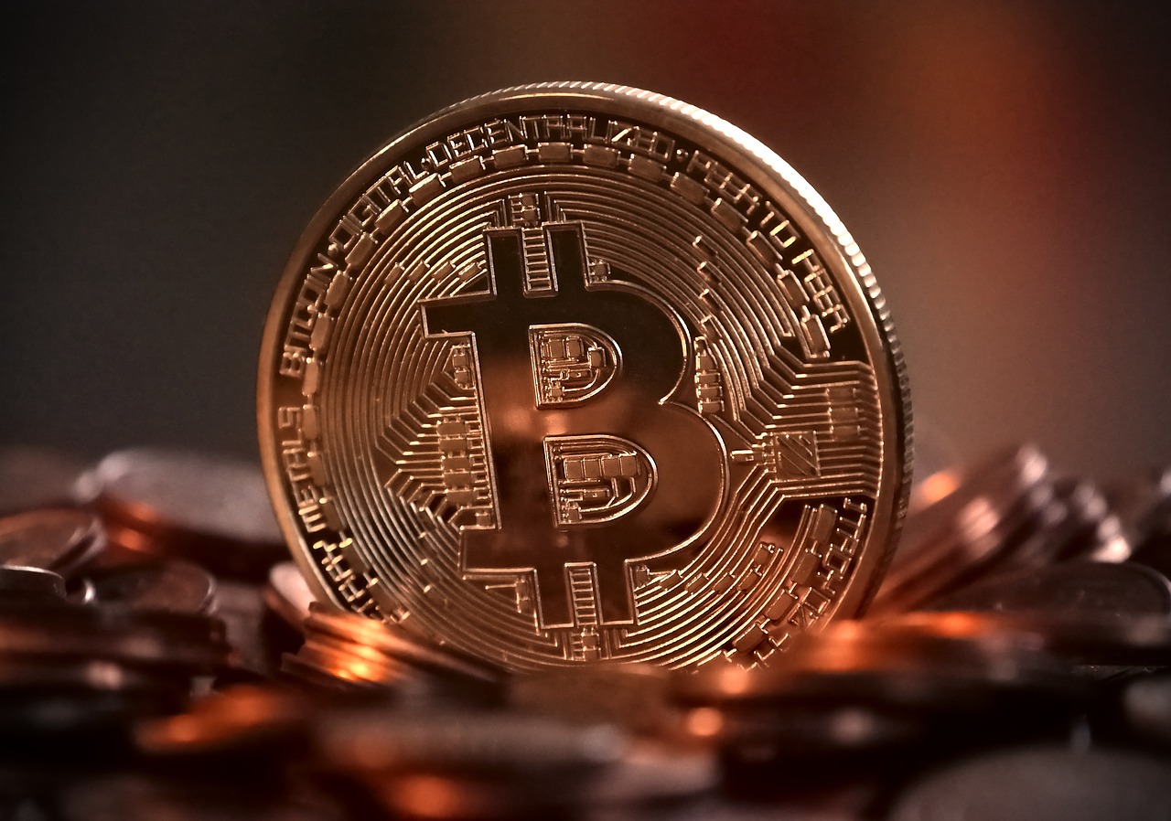 Bitcoin and the US Savings Decline: Scope of the Hedge Thesis