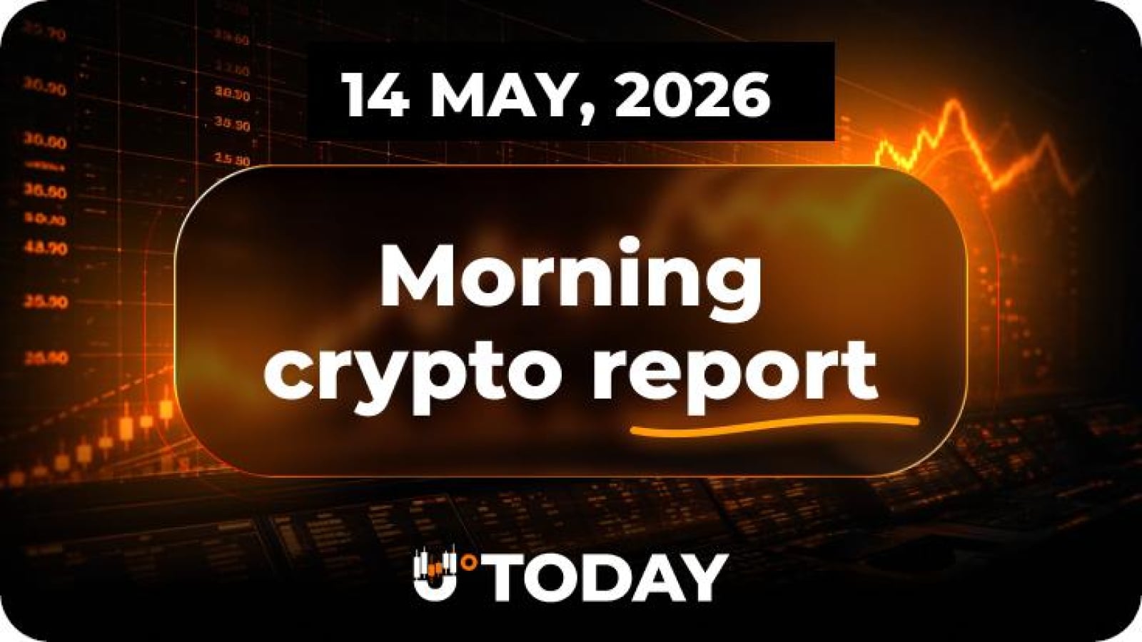 Bitcoin at $4.2 Million Puts Saylor Ahead of Elon Musk; XRP Rally Stalls After Hyperliquid ETF Launch; Cardano Hits Millionaire Milestone - Morning Crypto Report