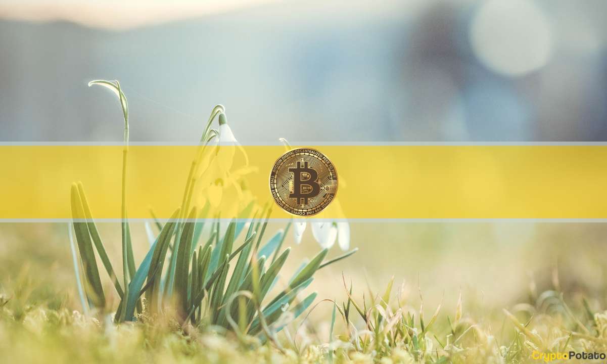 Bitcoin Barely Avoids Equaling Worst Red Monthly Streak: What's Next for April?