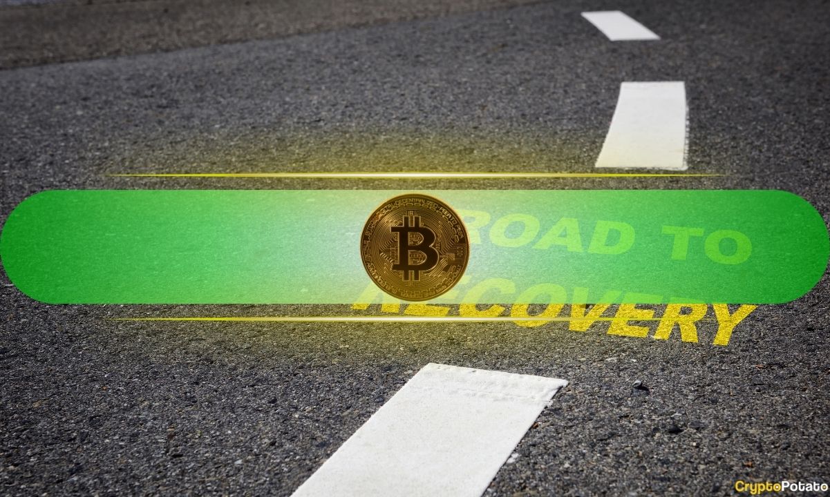 Bitcoin BCMI Drops Into Historic Undervaluation Zone: Is a Major Pivot Forming?