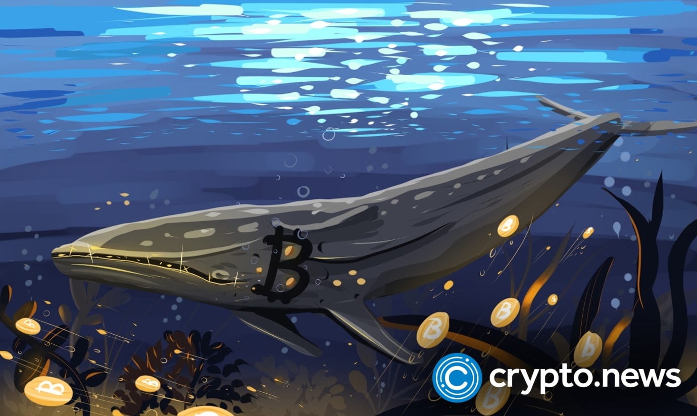 Bitcoin bottom or bull trap? Whales and bears disagree