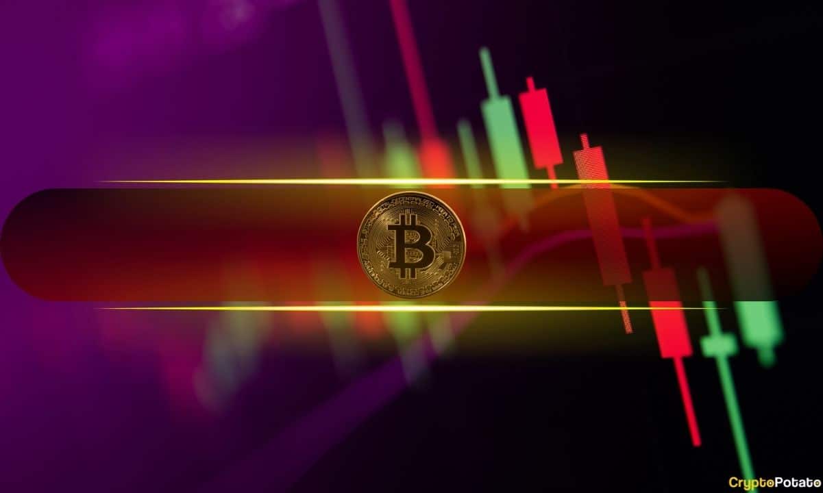 Bitcoin (BTC) Rejected at $80K, This Meme Coin Keeps Pumping: Market Watch