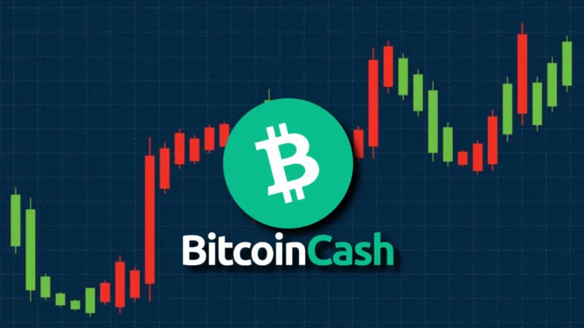 Article image for Bitcoin Cash Draws Peter Brandt's Attention as a Possible 2026 Market Leader