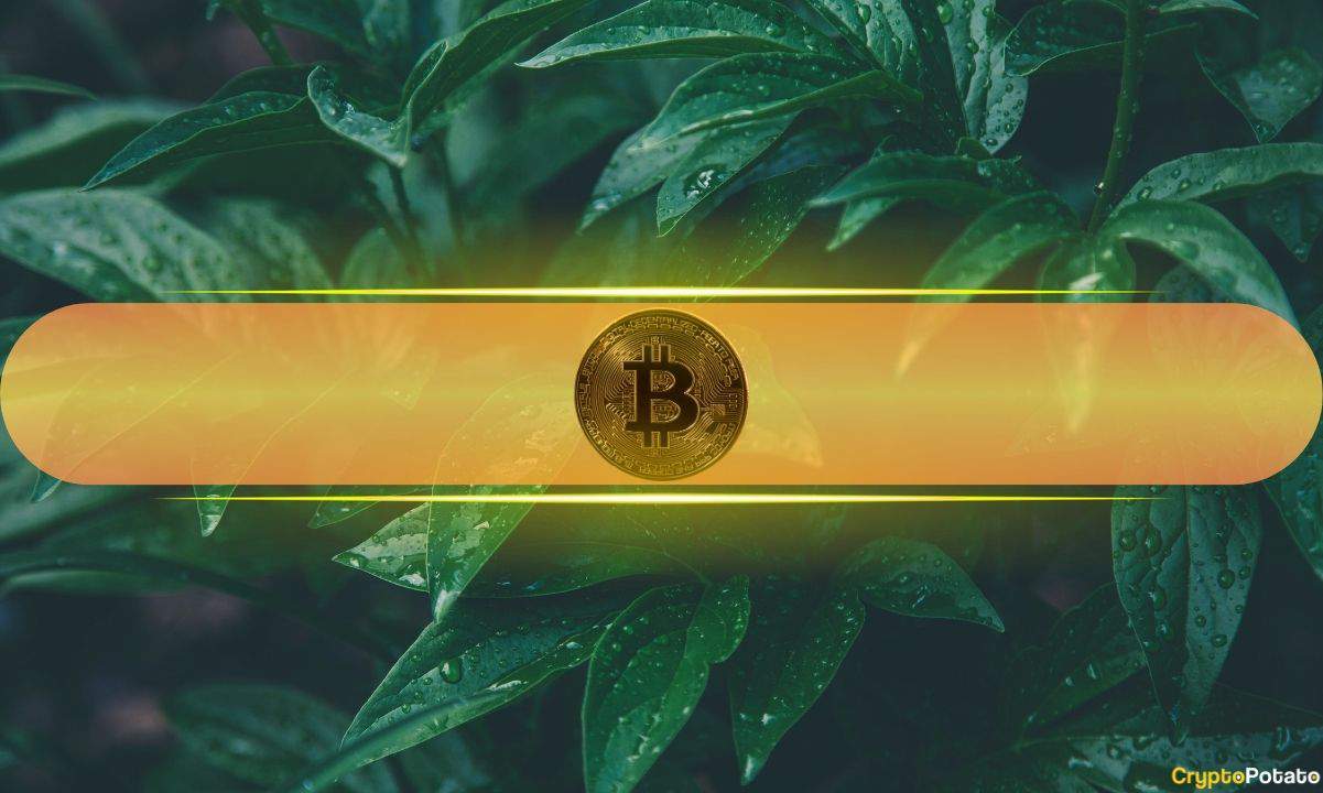Bitcoin Could Hit $90K – But This Major Test Comes First, Analysts Say
