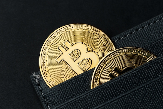 Bitcoin daily transactions hit a 17-month high
