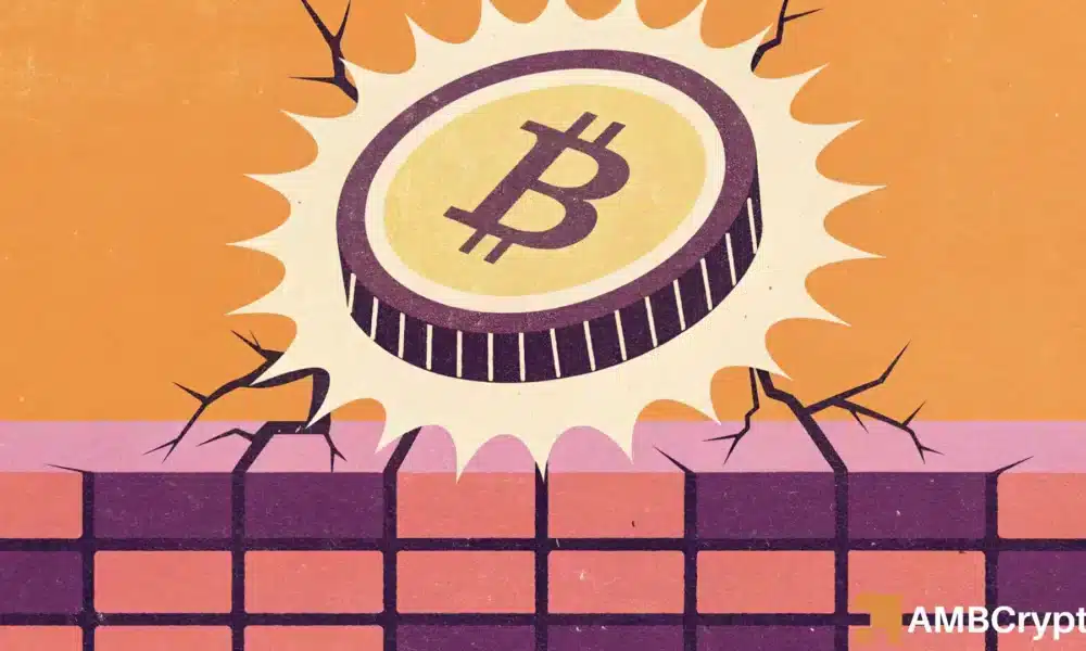 Bitcoin – Here's what the ‘risky' market's short-term holders are upto right now