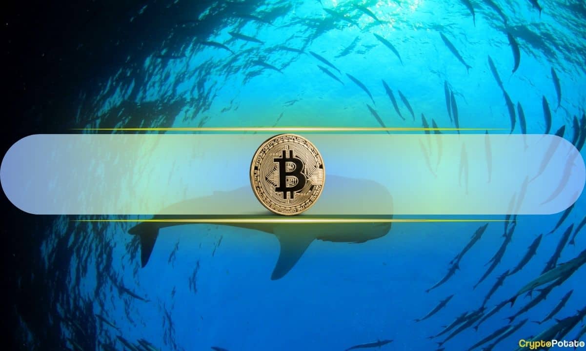 Bitcoin Record