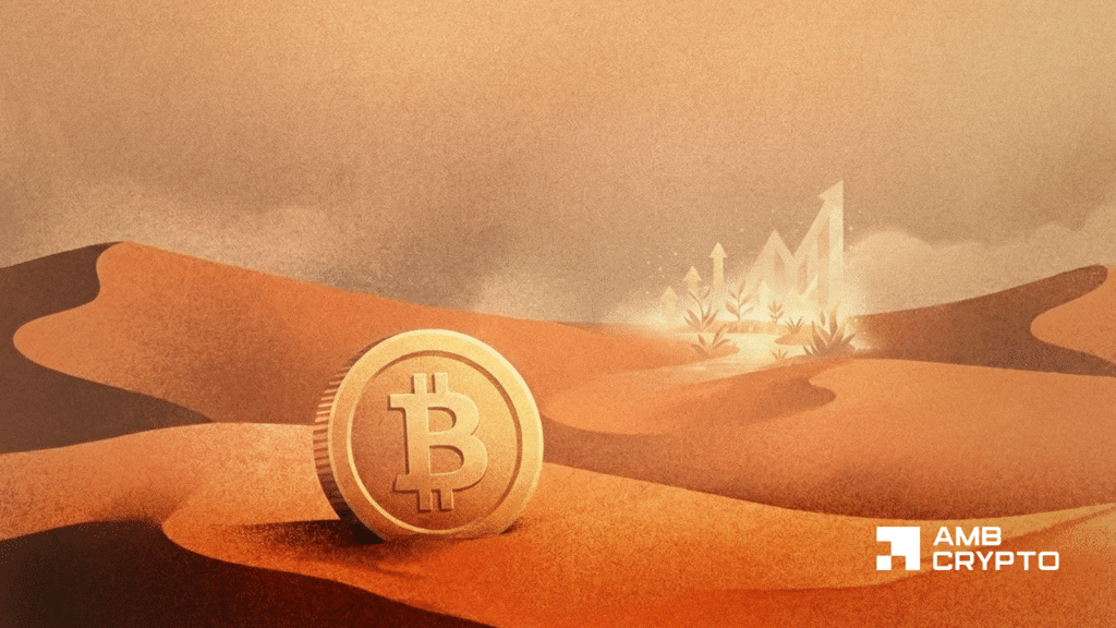 Bitcoin holds $71K – But $800 mln in liquidations tell a bigger story