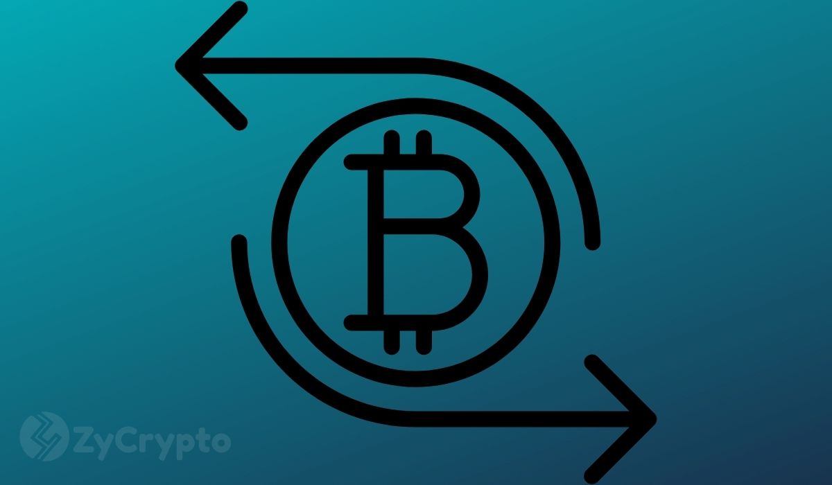 Bitcoin Is Now ‘Stock-Market Puppet', Bloomberg Strategist Warns as Whales Refuse to Back Down