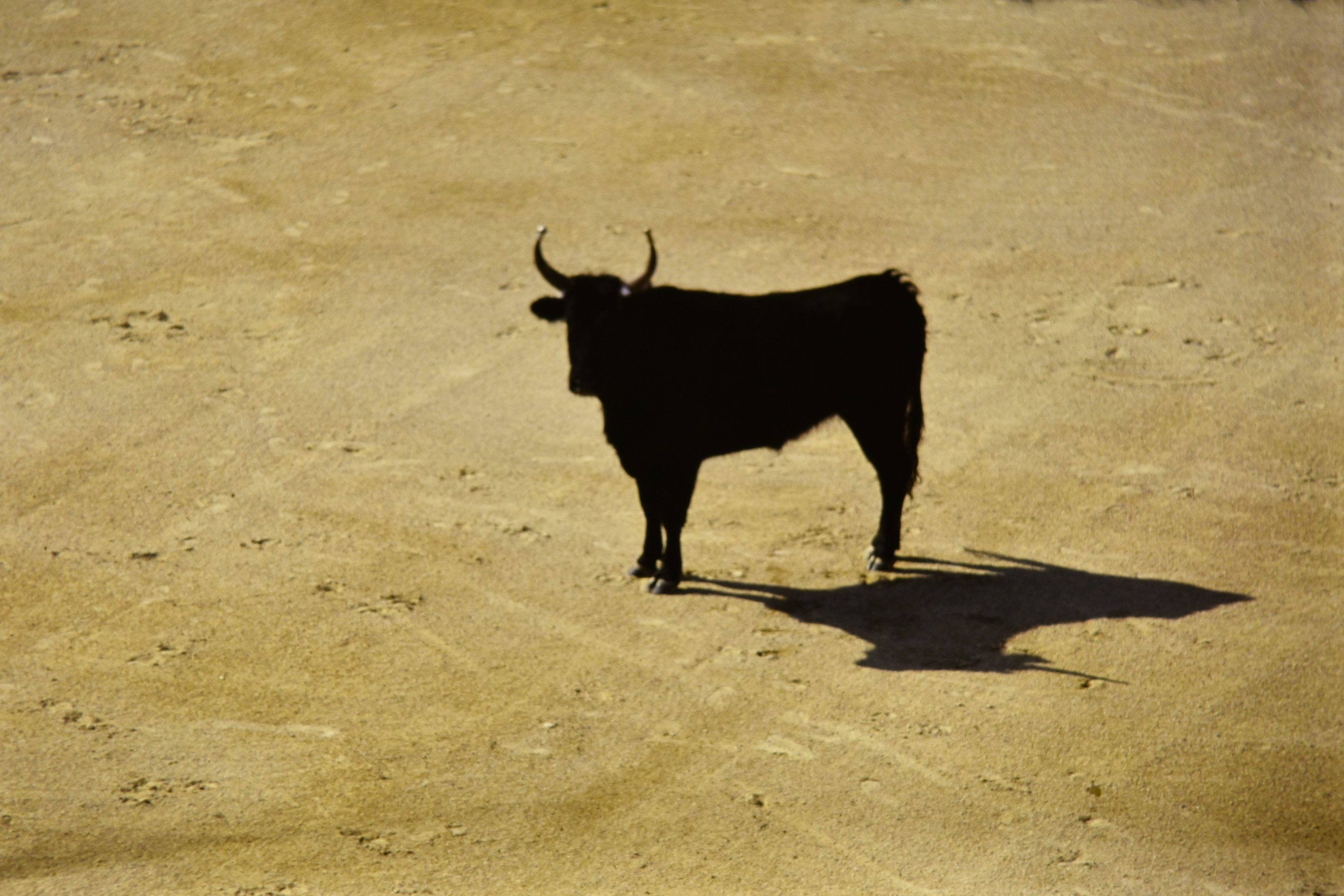 Bitcoin Liquidity Rotation Turns Bullish Again As Stablecoin Shelter Starts To Unwind