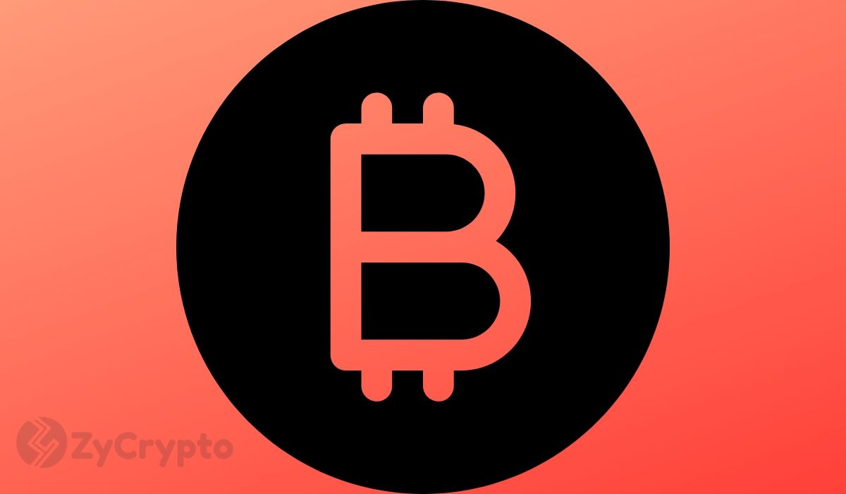 Bitcoin Price Headed to $0, Economist Who Predicted 2008 Crisis Declares