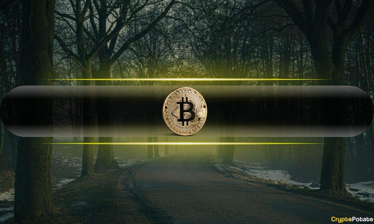 Bitcoin Profit Supply Drops to 59%, Closing In on Bear Market Levels
