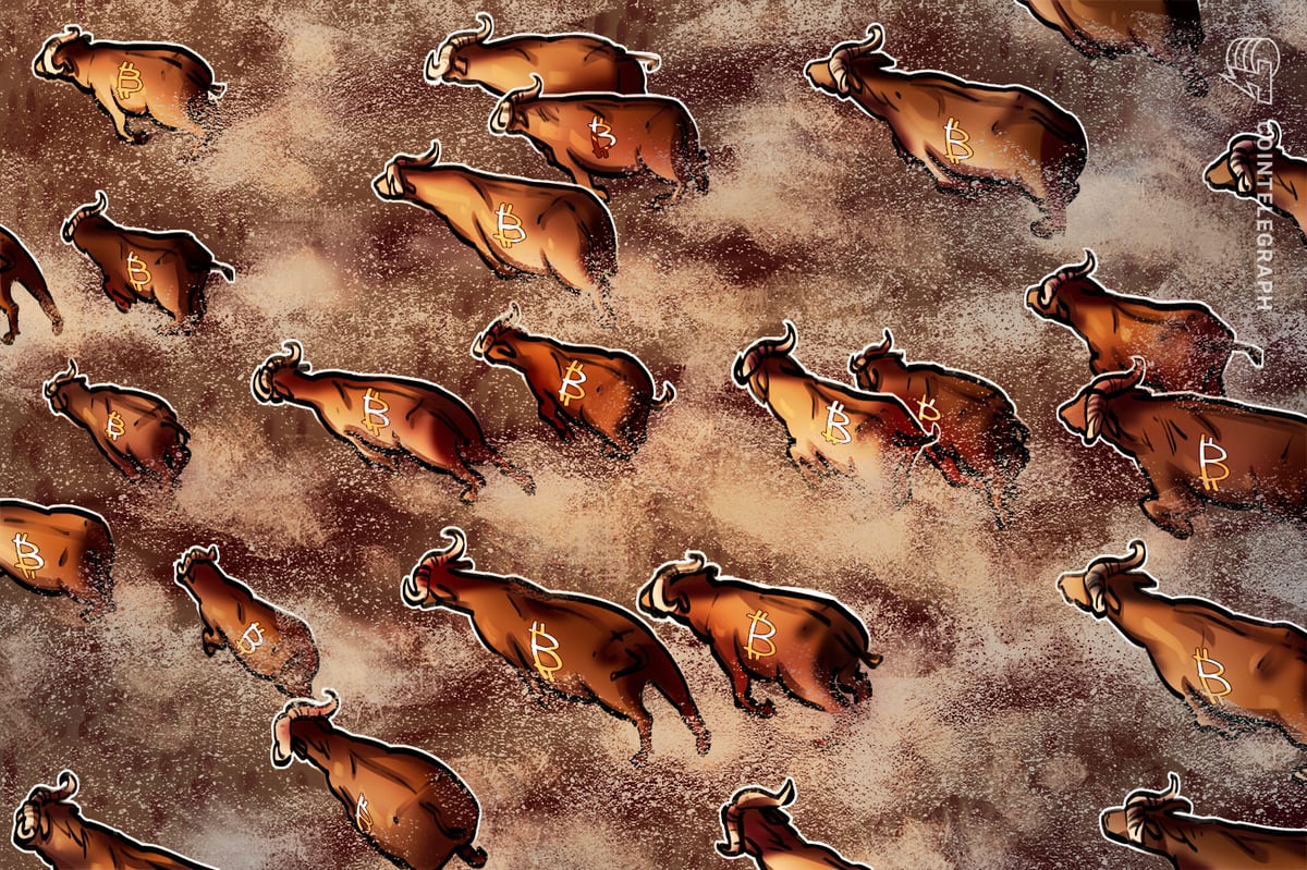 Bitcoin relief rally faces headwinds as bear market persists: analysts