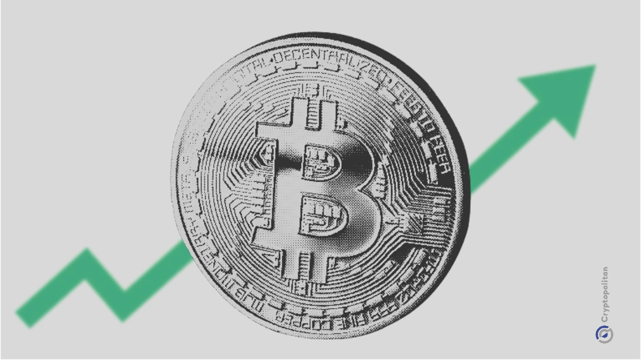 ‘Bitcoin' search interest jumps as BTC reclaims $70,000