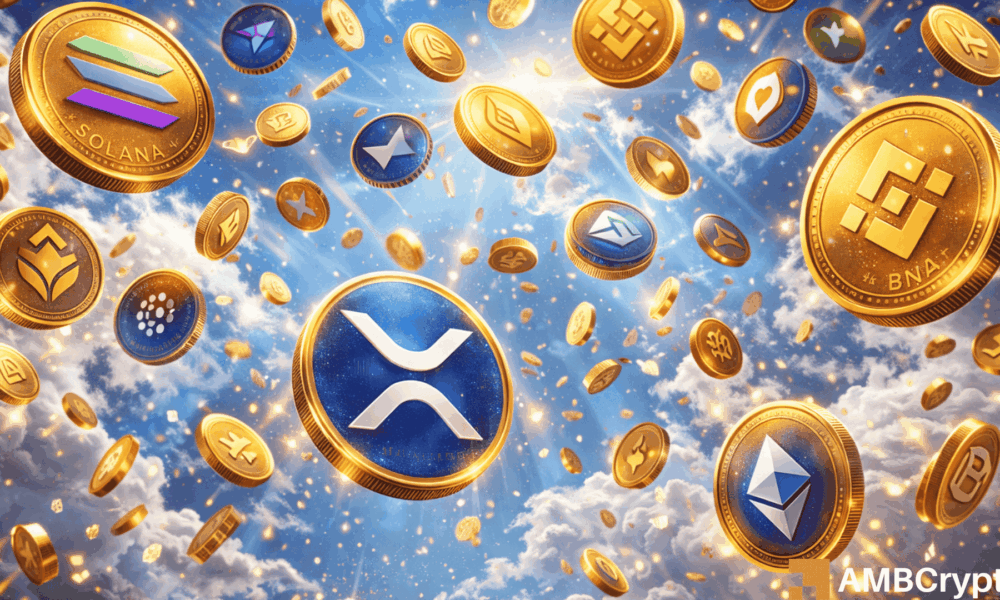 Bitcoin sell-off ripples through altcoins as market cap contracts