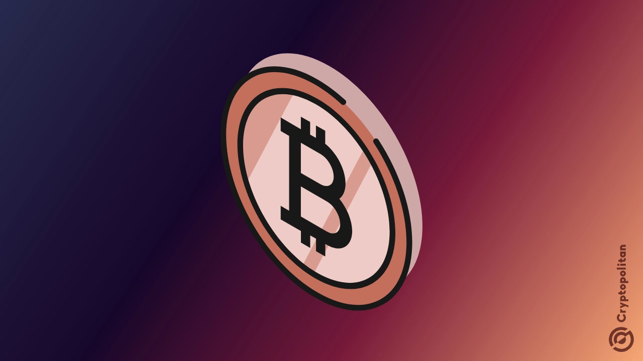 Bitcoin slides 7%, leaving experts divided on market bottom