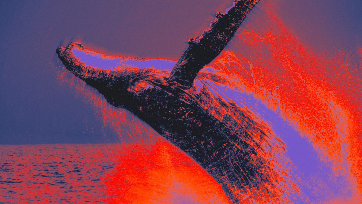 Bitcoin whale address moves $41 million in BTC after 12-year dormancy: onchain data