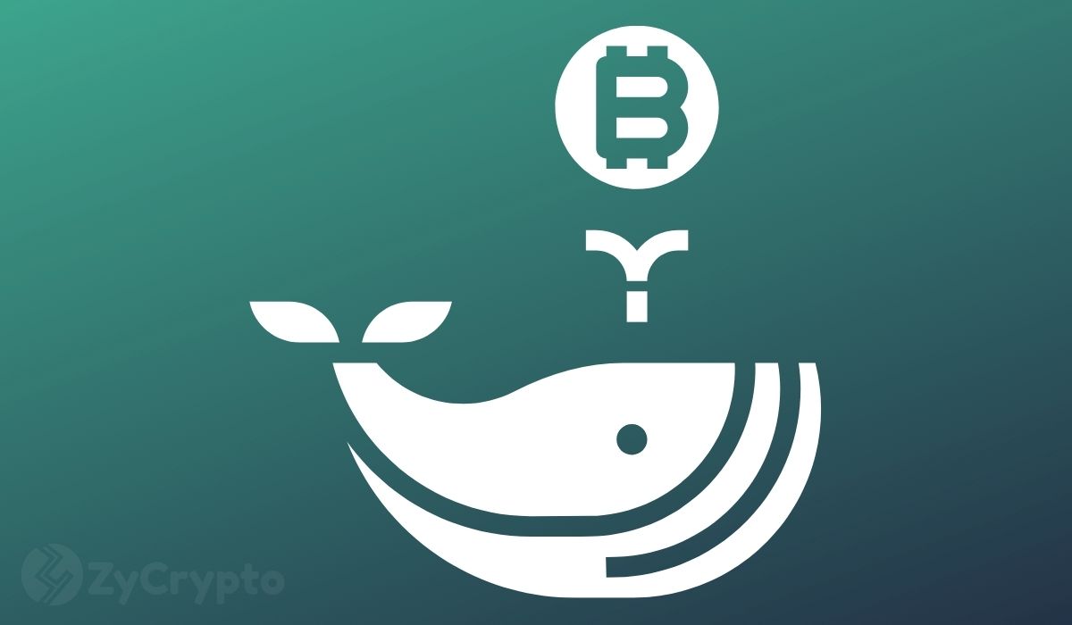 Bitcoin Whale Sparks Alarm After Dumping $20 Million Fortune Into Binance Amid Market Sell-Off