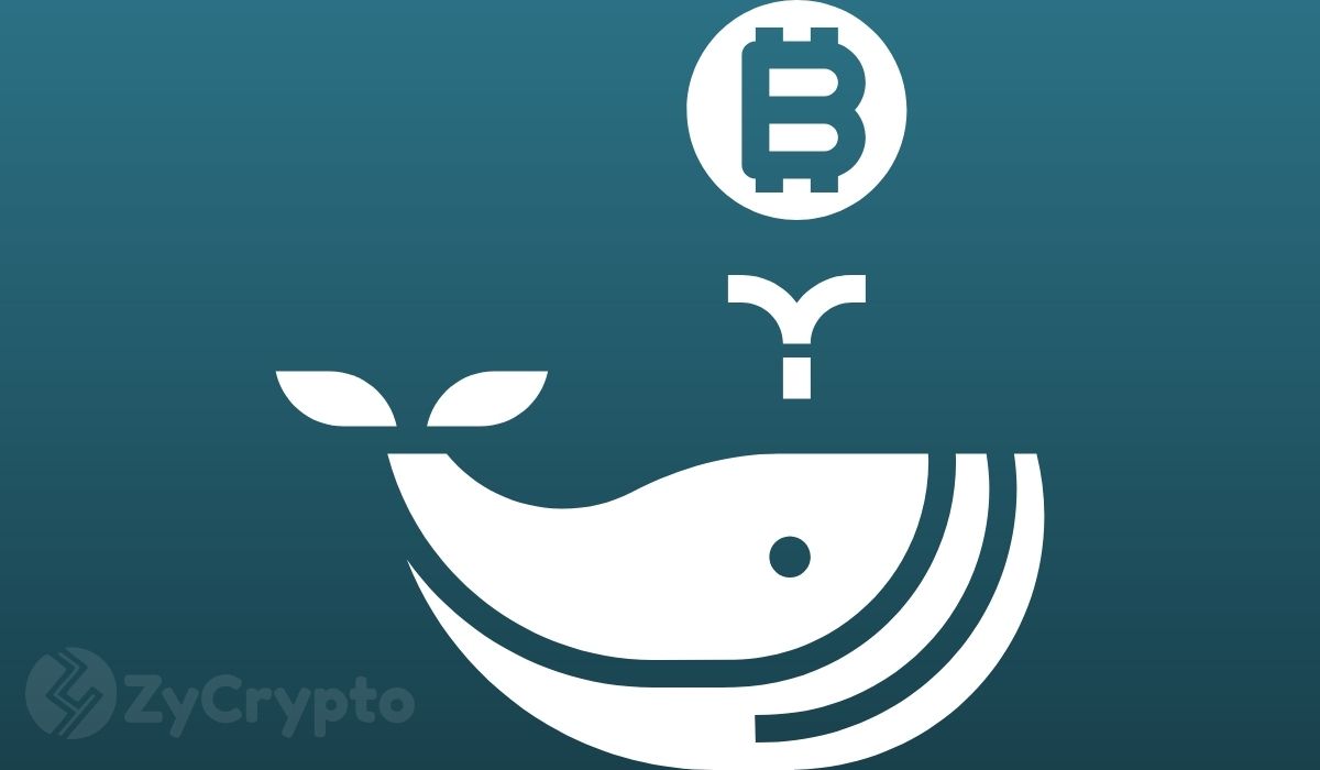 Bitcoin Whales Accumulate 10,000 BTC worth $750 Million in Just 4 Days
