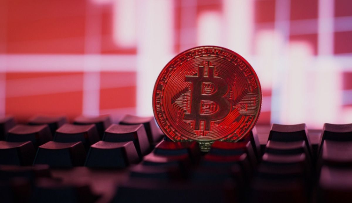 Bitcoin Whales Buy BTC as Exchange Trading Volume Plunges Over 50%