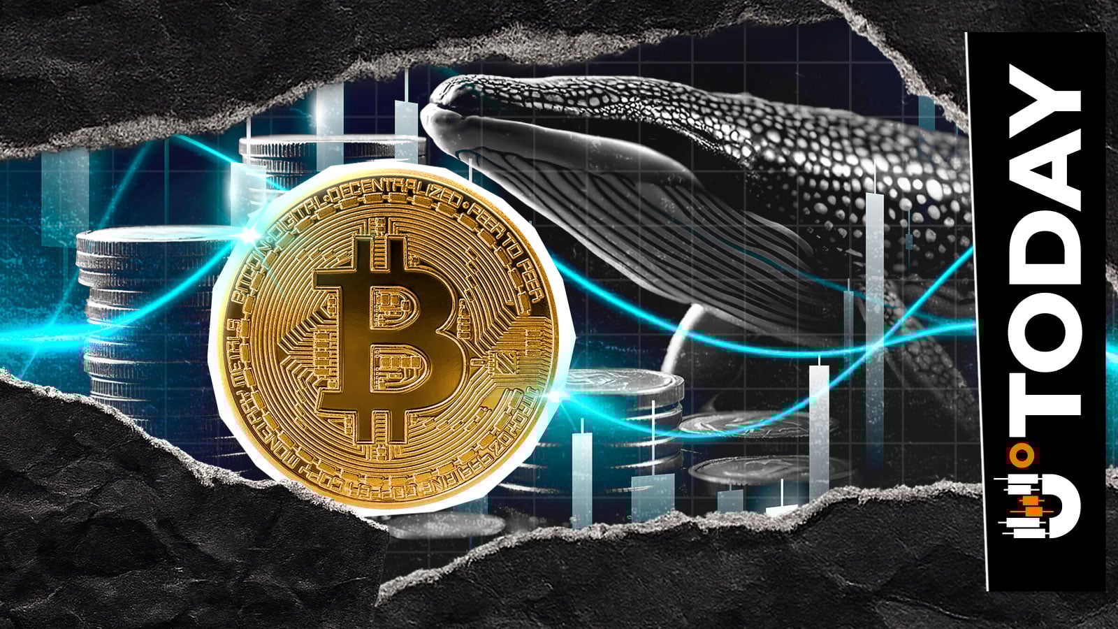 Bitcoin Whales Buying the Dip, On-Chain Data Reveals