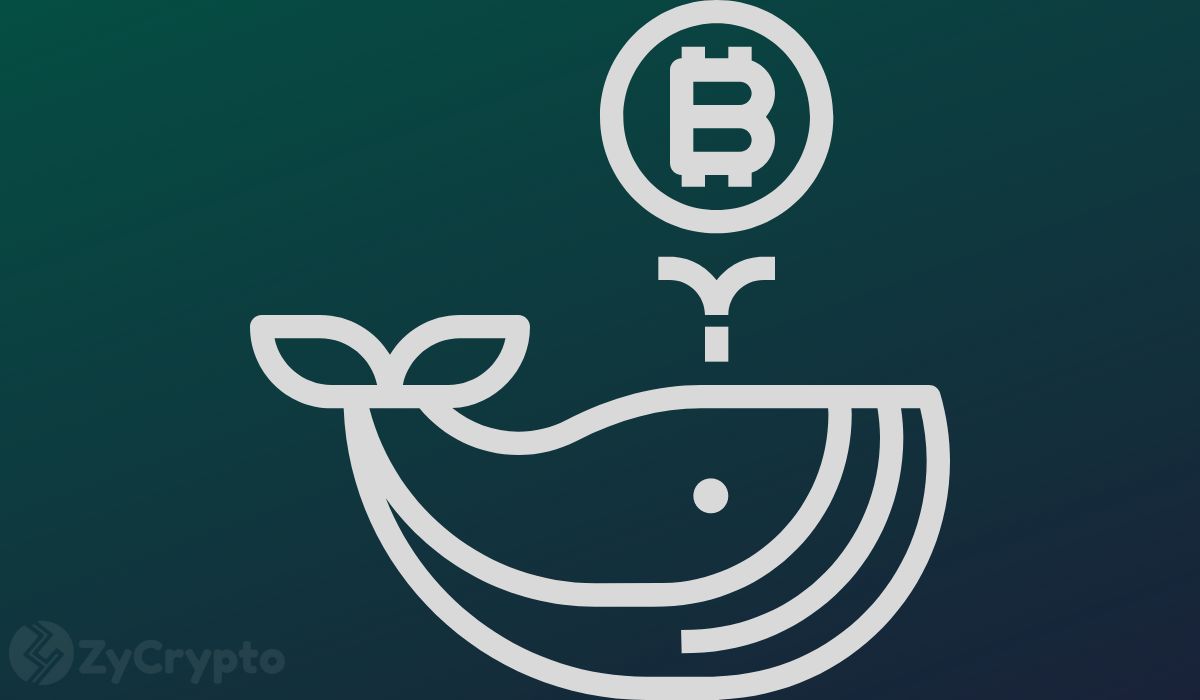 Bitcoin Whales Dump 188,000 BTC After a Year of Holding, Triggering Market Alarm