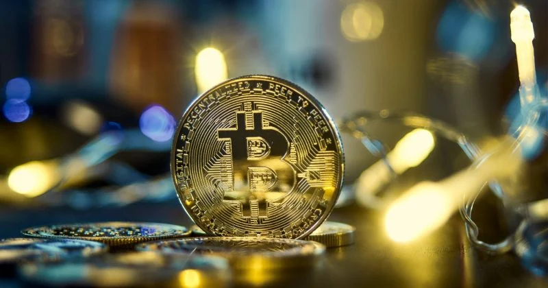 Bitcoin whales quietly scoop up 66,700 BTC as mid-tier holders head for the exits