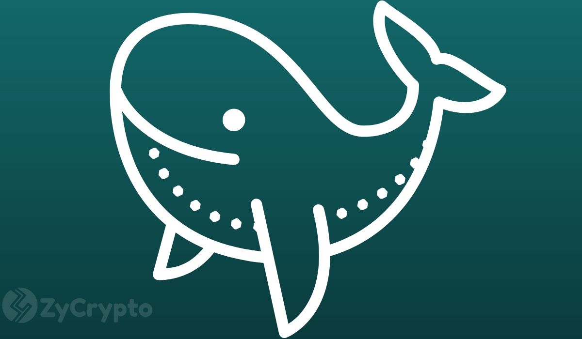 Bitcoin Whales Stopped Buying: Is a Price Crash Coming?