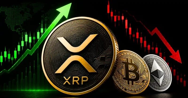 Bitcoin, XRP spot ETFs see inflows while Ethereum records outflows on June 12