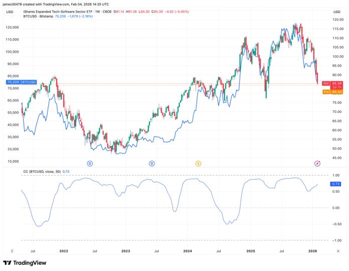 Bitcoin's correlation with troubled software stock sector is growing