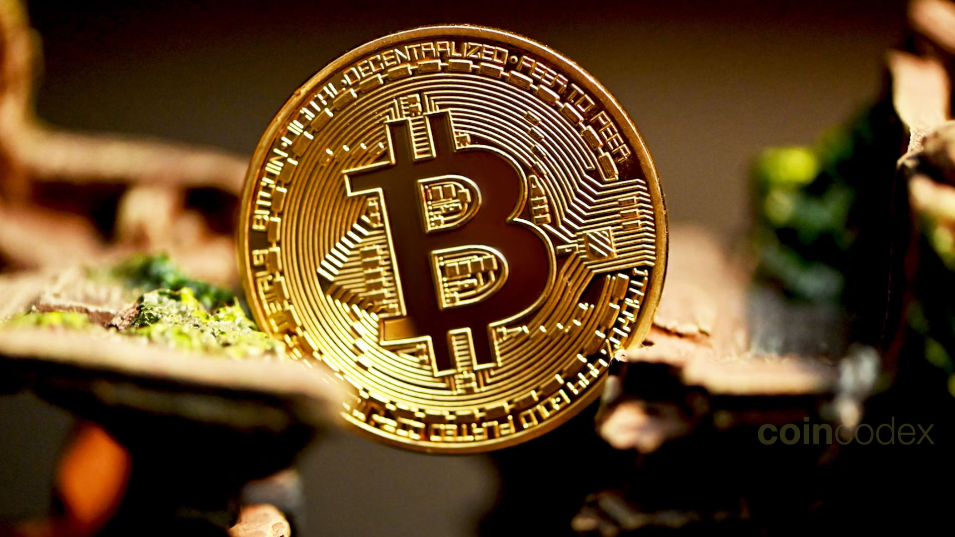 Bitcoin's October Bottom and the Death of Altcoins: Swan Bitcoin CEO's Big Forecast