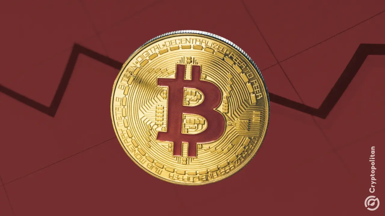 Bitcoin's Supply in Loss Climbs From 34% to Over 50% in a Month