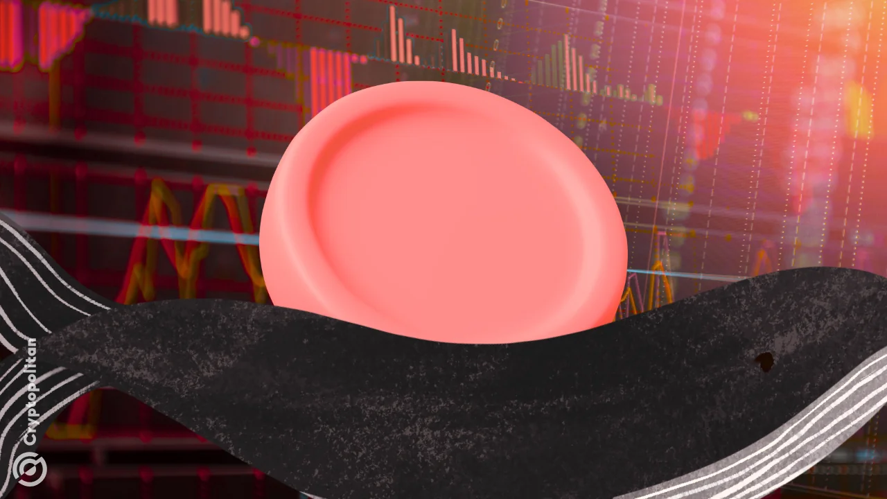 Bitwise CIO and ETF analysts urge calm as bitcoin drawdown sparks panic