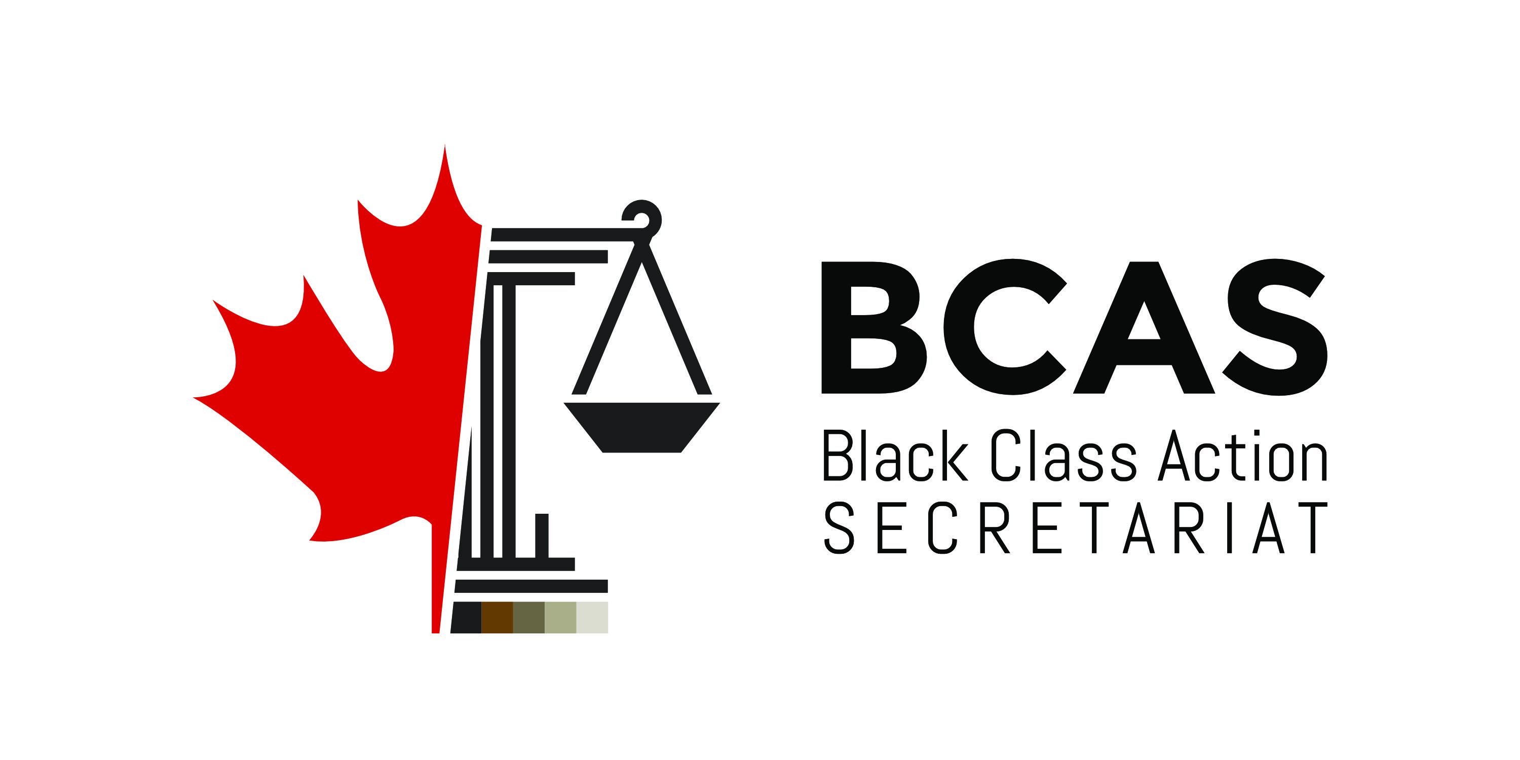 Black OPP officers call for investigation into systemic bias in probationary evaluations