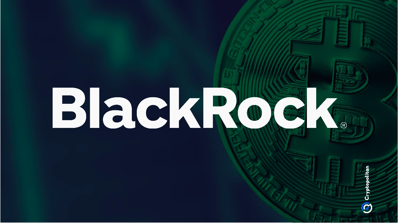Article image for BlackRock Bitcoin ETF hits $91.06B AuM