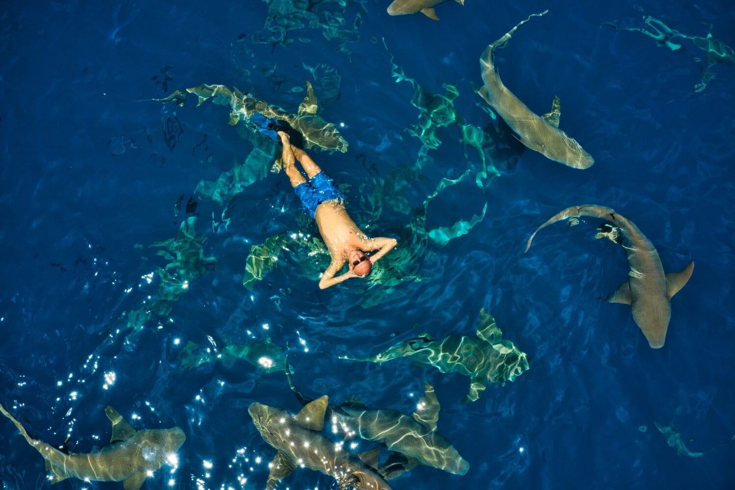 Blood In The Water: These Tourism Hot Spots Have Surprising Amounts Of Political Violence