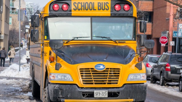 Blue Bird: Don't Miss The School Bus Before It Leaves