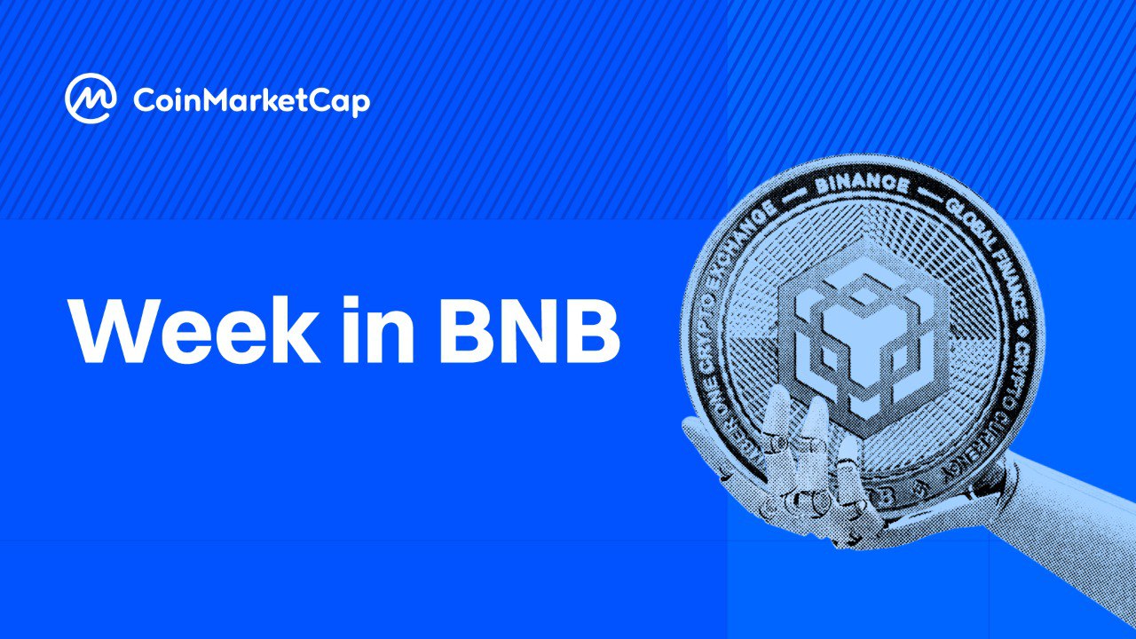 BNB Chain News: Sector Rips 3.8% as RAVE Crashes and MemeCore Rallies