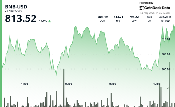 Article image for BNB Climbs Above $810 as Buyers Target $815 Resistance