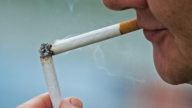 British American Tobacco: New Categories Segment Shows Promise