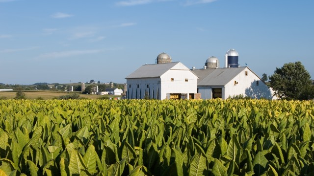 British American Tobacco: The Window To Buy And Lock In This 9.5% Yield Might Be Closing