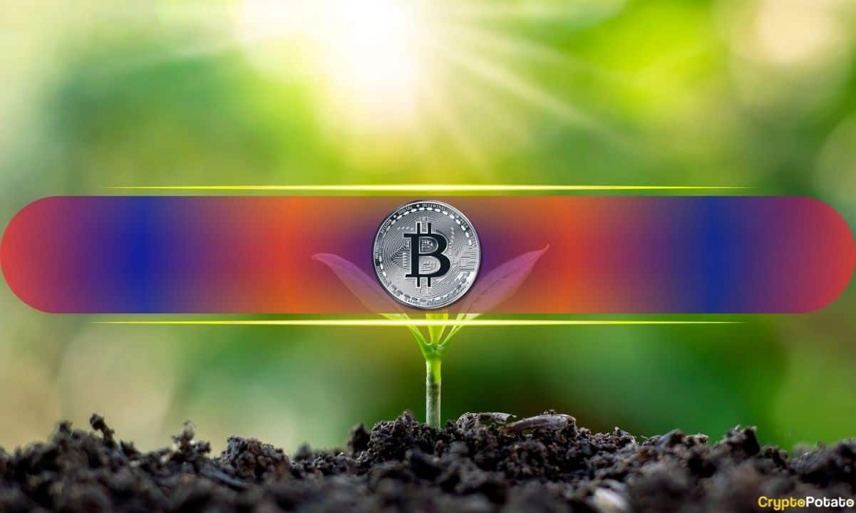 BTC Open Interest Drops 50% Leaving Market Primed for a Big Move